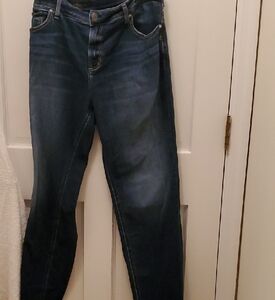 Silver Jeans Classic Indigo Denim